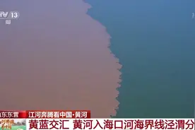 江河奔腾看中国丨全方位呈现！从海陆空三种视角看黄河入海图片