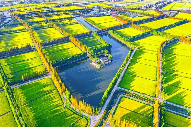 展讯 | 打开新时代美丽江苏建设的生动画卷——“美丽江苏”摄影大展开幕