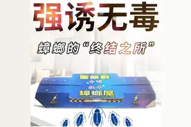消杀公司常用的灭蟑方法（四）图片