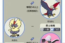 宝可梦毛头小鹰几级进化图片
