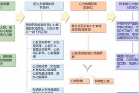 【干货】急性心衰竭的紧急处置（左心+右心）图片