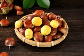 “板栗”不能随便吃？医生提醒：尤其这6类人，别再傻傻去吃图片