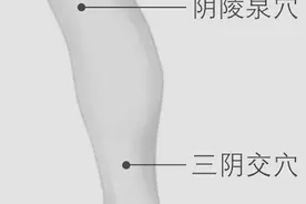 经常推揉这三条经络，湿毒无处可藏图片