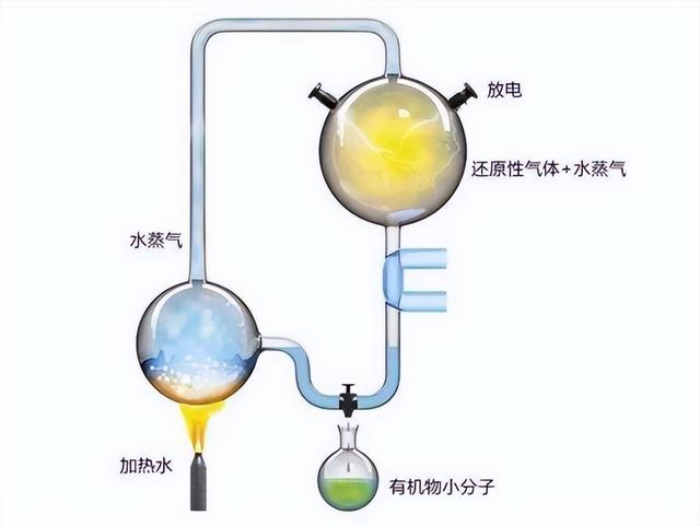 研究者：日本“隼鸟号”发现的氨基酸，或与地外生命无关，靠谱吗