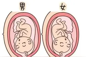 怀男女宝的不同反应图片