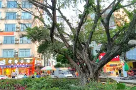 远离市区四面环山，却有不少外省人到来经商，广西玉林这镇不一般图片