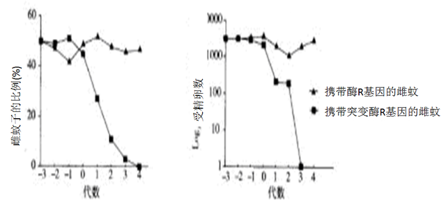 高中生物-细胞代谢