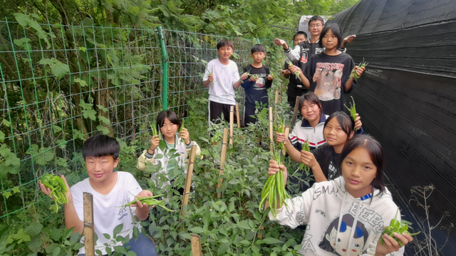 四川省民生研究会新媒体中心-官网