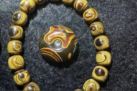 海中最珍贵的木头——海柳图片