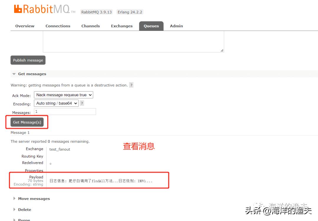 5-RabbitMQ工作模式-Publish/Subscribe发布与订阅模式插图13 5-RabbitMQ工作模式-Publish/Subscribe发布与订阅模式