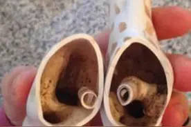 宝宝身边的“脏东西”，宝妈知道几个？快点找出来做好清洁和消毒图片