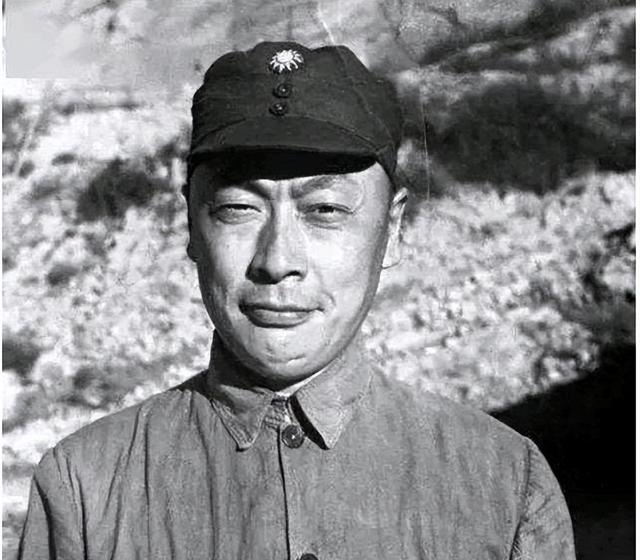1972年，陈毅临终前嘱咐王震：此人曾经要杀我，不要让他受委屈了