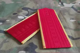 徽章欣赏（八七式陆军军官常服军衔）图片