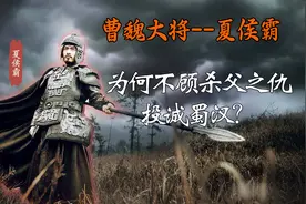 三国中，夏侯霸为何不顾杀父之仇，投诚蜀汉，并效忠蜀汉至死？图片