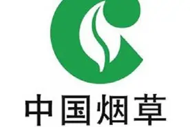 最牛逼的国企-烟草公司，挤破头都想进去的单位到底有多好图片