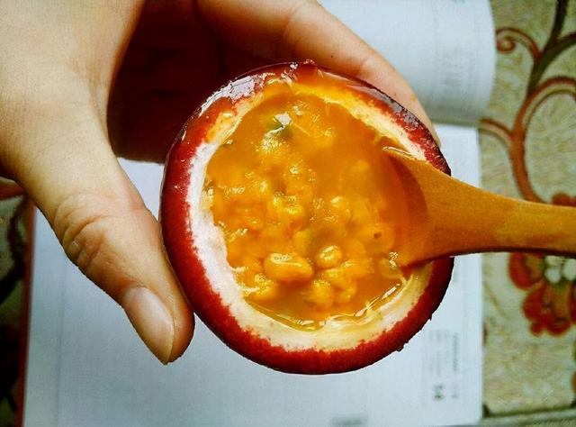 广西一种“酸蛋果”，以往鸟儿都嫌酸，因营养多，现成昂贵的水果