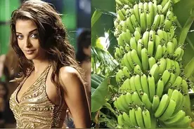 印度国宝级美女，迷倒众生却遭国人唾骂，被迫嫁给一棵香蕉树图片