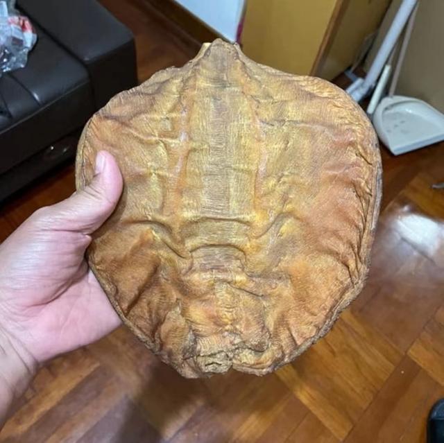 花胶泡黑了还可以吃吗 花胶泡黑了还可以吃吗图片
