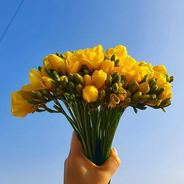 ׵Ȧİӣ뾪춯أƽͺ