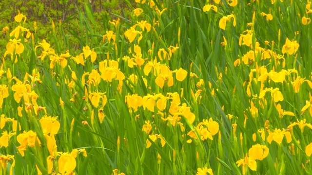 四川省民生研究会新媒体中心-官网