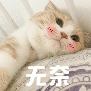 鈥滄棤鑿岃泲鈥濇洿瀹夊叏锛熸娴嬫暟鎹憡璇変綘