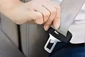 后排不系安全带，会面临什么处罚图片