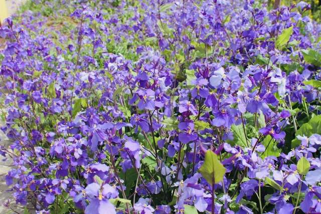 四川省民生研究会新媒体中心-官网