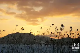 有一种婚姻，叫嫁给婆婆图片