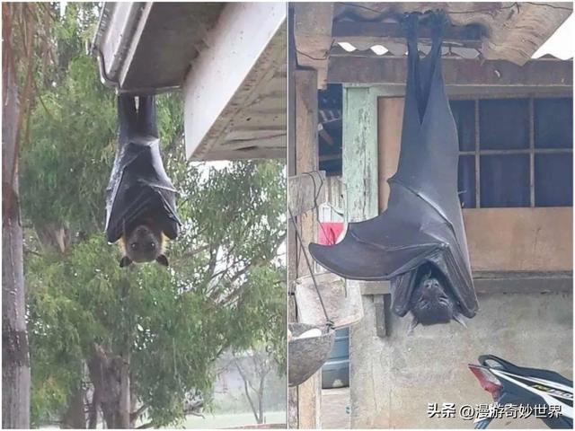 看完这组震撼的图片，才明白大自然有多可怕…