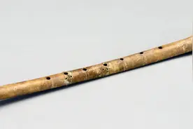 文博日历丨听，穿越八千多年的远“骨”之音图片