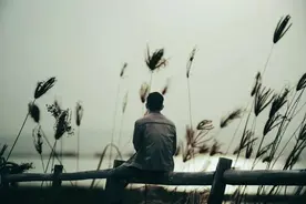 人到中年，如猪、如驴、如狗图片