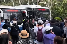 老年团拦车堵路后续！杭州文旅沉默，警察来都没用，处理结果亮了图片