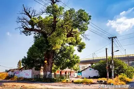 留存记忆：杭州近几年拆迁的34个城中村（一村一图）图片