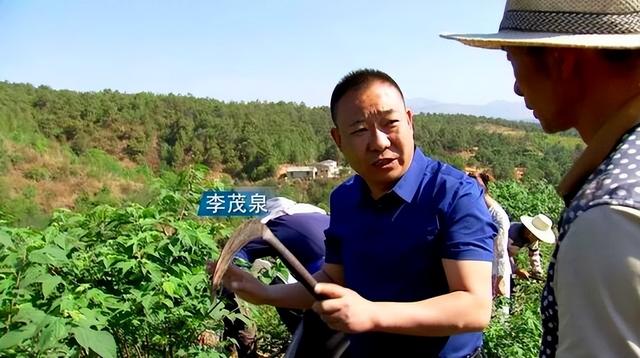 山西矿老板改行进荒山种奇树，被骂“有病”，结果3年赚5000万