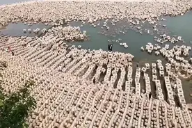 长江边水位下降后惊现“石头阵”，整齐壮观，是什么人摆放的？图片