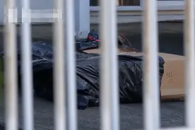 开“盲盒”开出人体残骸？！新西兰警方启动调查图片