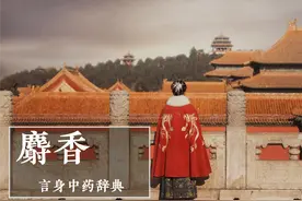 麝香（开窍药）图片