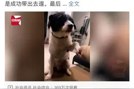 女子国庆遛狗赚钱，奇怪服务哪里接？图片