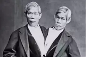 连体人如何结婚生子？邦克兄弟迎娶亲姐妹花，生育了22个孩子图片