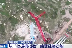 数据里看“中国活力”从“挖掘机指数”感受中国经济动能图片