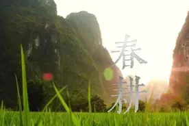 春播，秋收，冬藏图片