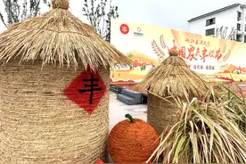 在浙江龙港，丰收节怎么庆祝？明天9:00，邀您逛水街，品美食！图片