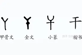 说文解字系列之（八）：干（乾、榦、幹）——简单的汉字不简单图片