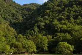 夏日出游小攻略请查收！摘爆汁玉米、品鲜菌美食、漫游乡村，过一个很“哇塞”的假期图片