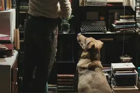 心情不好的时候，就读一读杨绛这3句话图片