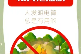 公益广告 护林防火 人人有责：这些知识要牢记！图片
