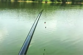 钓鱼穷三年，养鸟毁一生图片