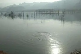 震撼！盘锦窗户“音爆”揭秘！图片