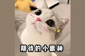 交通出行攻略献上！呼和浩特网红打卡点“宝典”后续来了...图片