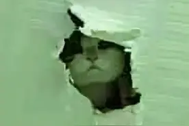 细思极恐！搬家后猫半夜冲着空气嚎叫，妹子：可那里什么都没有啊图片